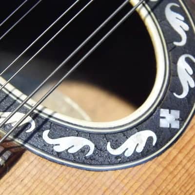 fine old VOGTLANDSPERLE solid arched back 8string MANDOLIN mando Germany 1920s image 17