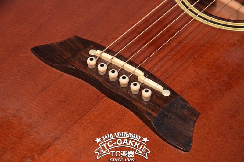 Takamine PT 106 6 | Reverb
