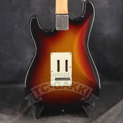 FUJIGEN(FGN) 2024 NST100RAL Sunburst image 6