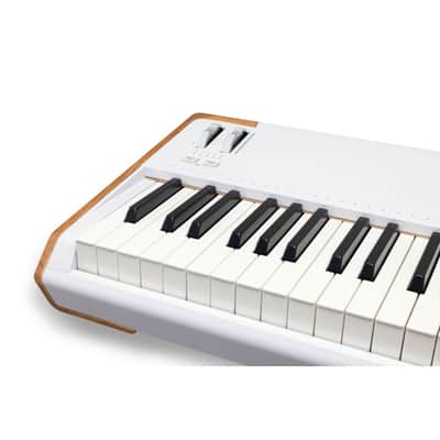 Arturia AstroLab 88 - Synthesizer image 3