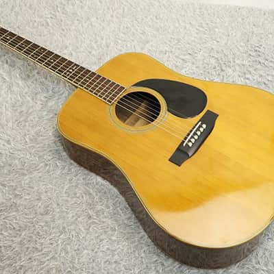 Vintage Tokai '80s made Japan made Acoustic Guitar Cat's Eyes CE-300 Made in Japan image 25