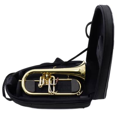 S.E. Shires Model Q19 Q-Series Professional Flugelhorn BRAND NEW image 1