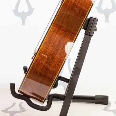 Daion GC 20 (Yamaki Built) image 17