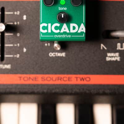 Olinthus Cicada Overdrive – World's Smallest Effects Pedal! image 6