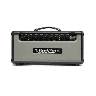 Bad Cat Era 30 Mark Sampson 2-Channel 30-Watt Guitar Amp Head - Gray image 1