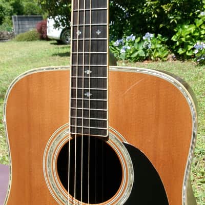 1979 Yairi YW-500P D-35 style + New Gig Bag plus more image 3