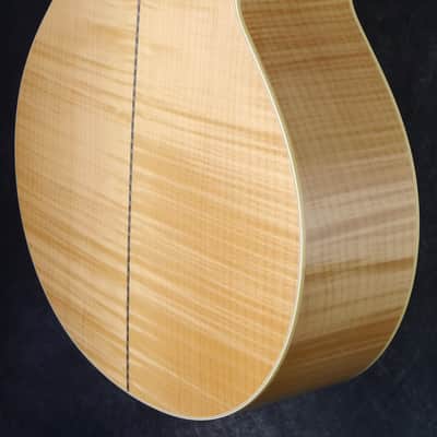Collings SJ  #35414 image 5