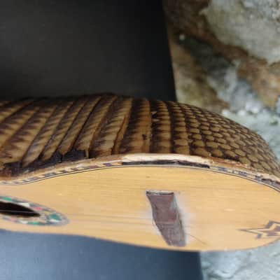 anonimo Charango image 7
