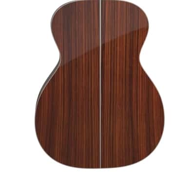 Furch Vintage 2 OM SR 2024 PICKUP SPE acoustic guitar image 2