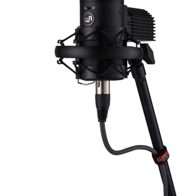 Warm Audio Wa 8000 image 4