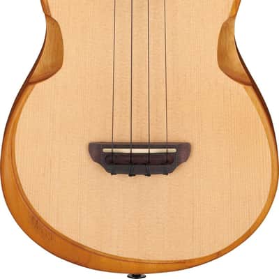 Ibanez AUT10-OPN AU Tenor Ukulele - Open Pore Natural + Gig Bag image 16