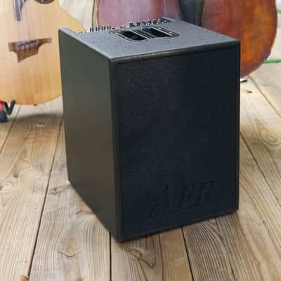 AER Basic Performer Combo Bass Amplifier 2010 Black image 1