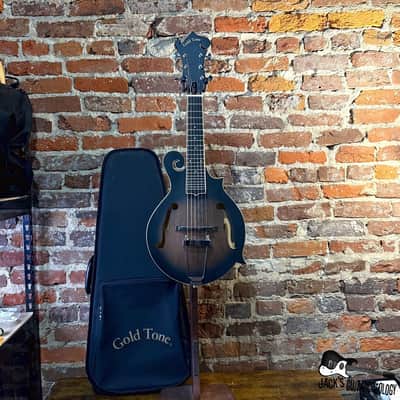 Gold Tone F-6 F-Style Mando-Guitar w/ Soft Case (2022 - Satin Tobacco Sunburst) image 2