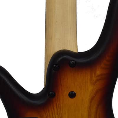 Ibanez Bass GWB205-TQF Gary Willis Fretless 5 image 8