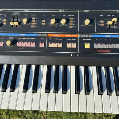 Roland Jupiter 6 61-Key Analog Polyphonic Synthesizer image 3