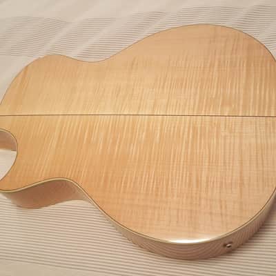 Taylor DDSM (Doyle Dykes Signature Model) image 7