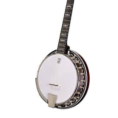 Deering Eagle II 6-String Banjo 2010’s with original case and barely played! image 1