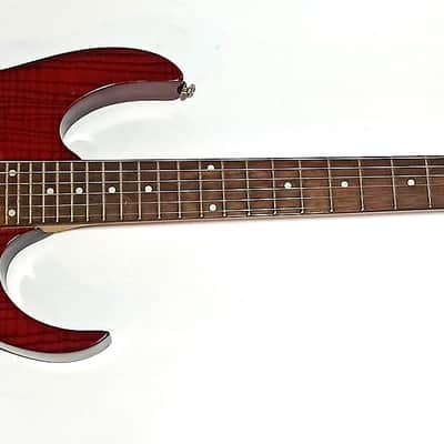 Ibanez RG 320 FA image 6