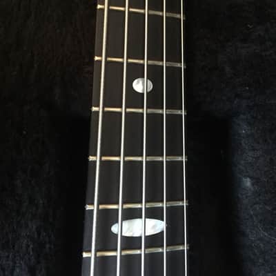 Alembic Exploiter Custom Coco Bolo 5-string bass image 13