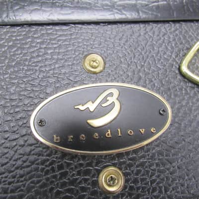 2012 Breedlove  Atlas Series Revival D/SMe Burst image 10