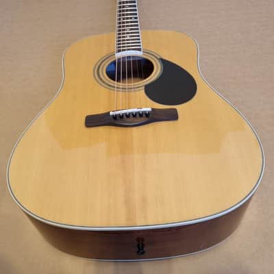 Samick Greg Bennet GD-100 Acoustic Guitar image 2
