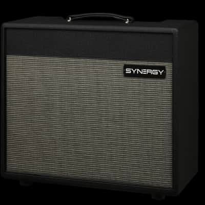 Synergy Amplificateur combo modulable "SYN-20IR combo 1 x 12" image 1