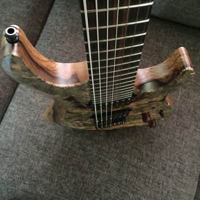 Kiesel Carvin Aries AM7 Multiscale New! 2016 Buckeye Burl image 10