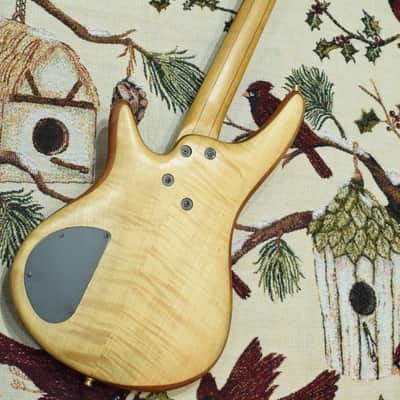 Ibanez SR1000 1997 image 13