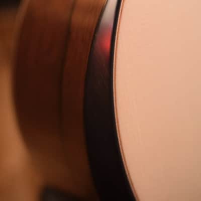 Lowden F-50 - Alpine Spruce & Madagascar Rosewood #7136 image 6