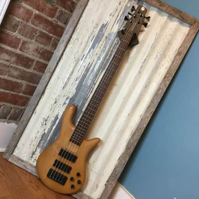 Spector Rebop 5-String Bass image 2