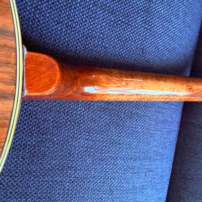 Washburn B-9T - Banjo mit Koffer image 6