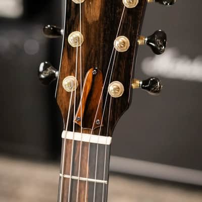 Taylor Custom Shop T5z Custom #C0960 Figured Ironbark/Shamel Ash Hollow Body Electric Guitar with Hardshell Case image 5