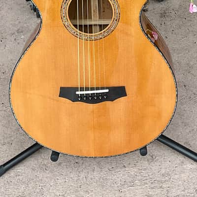 Williams Kiwi 2005 - Taraire/Kauri Acoustic Guitar w/ Original Case -Very Rare! image 1