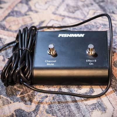 Fishman Loudbox Performer Acoustic Amplifier - 180 watts image 15