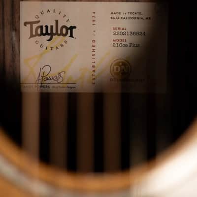 Taylor 210ce Plus Dreadnought Acoustic/Electric Guitar with Aerocase image 15