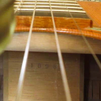 Morgan Concert Custom 2008 image 22