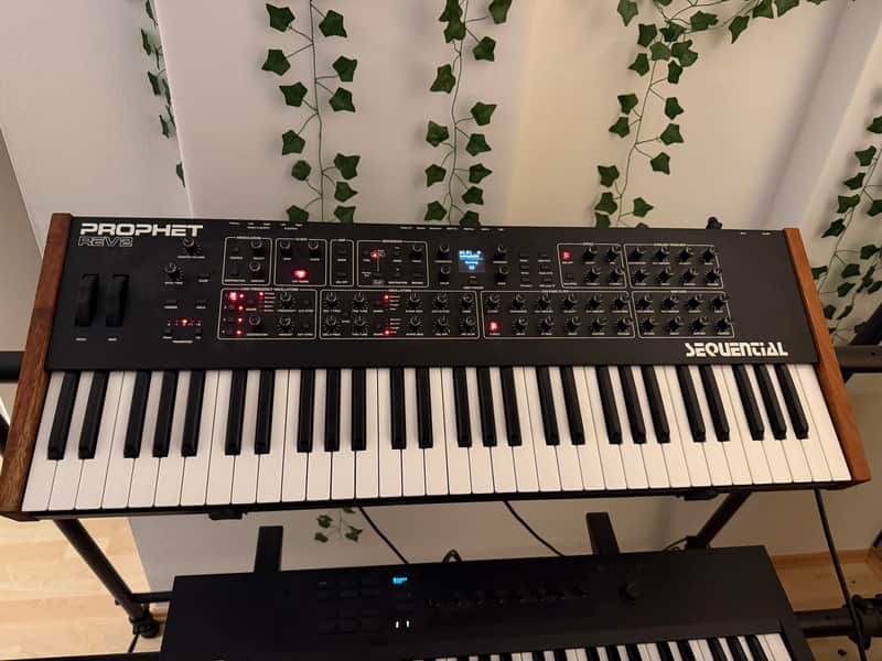 Sequential Prophet Rev2 61-Key 8-Voice Polyphonic Synthesizer 2018 - Present - Black with Wood Sides image 1
