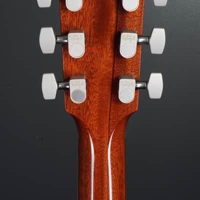 Thompson TM-1 1996 - Natural image 8