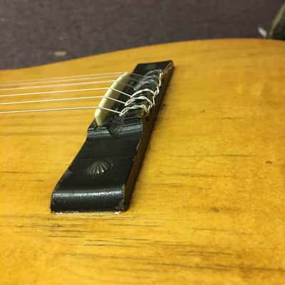 Sears Catalina Classical 1960-70’s (VIDEO) Harmony Kay image 6