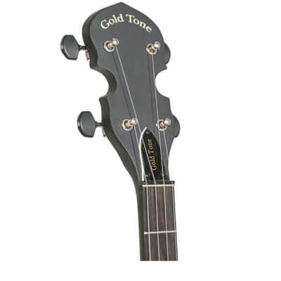 BANJO 5 Cordes GOLD TONE AC-1 - open back image 7