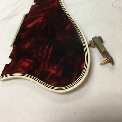 Gibson Byrdland pickguard 1967 image 2
