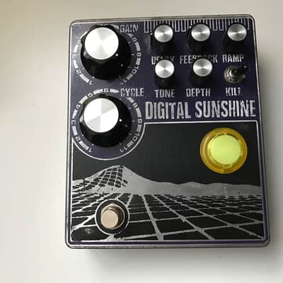 Custom Digital Sushine Reverb / take on Ty Segall's Death By Audio Sunshine Reverberation DBA image 1