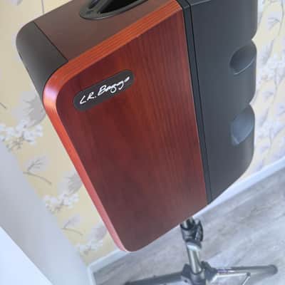 LR Baggs Synapse 500w 2 Channel personal PA system image 5