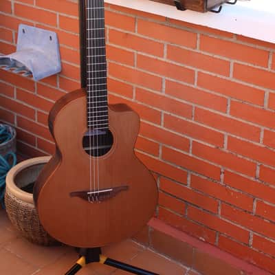 Lowden S25j 2020 - Nylon image 4