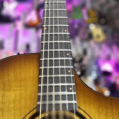 Breedlove ECO Pursuit Exotic S Concert CE Acoustic-electric - Amber Myrtlewood Auth Dealer! 743 image 5