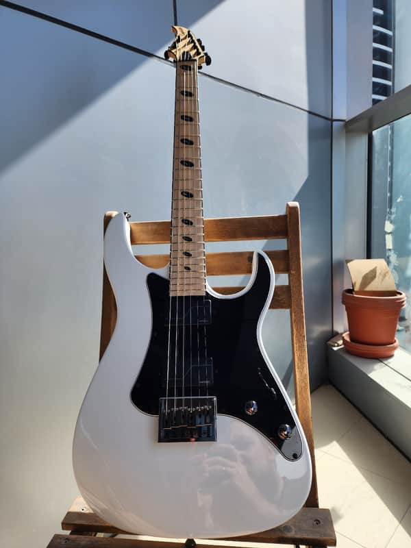 Caparison Dellinger-JSM Joel Stroetzel`21 image 1