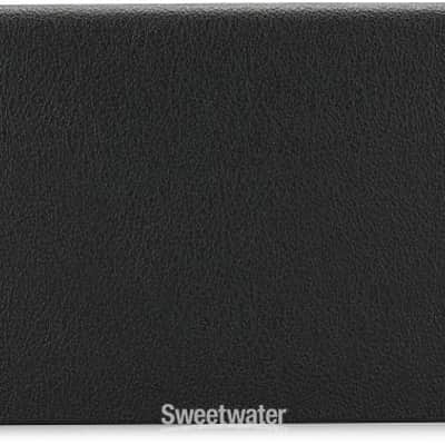 Friedman Little Sister 20-watt 1-channel Tube Head (LittleSisHd1) image 3