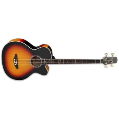 Takamine GB72CE G Series Electro-Acoustic Bass - Rosewood Fingerboard, Brown Sunburst image 3