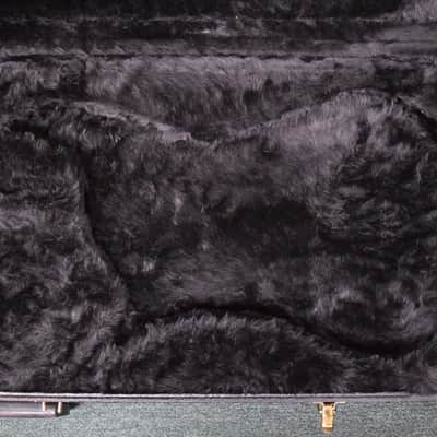 Spector Left Handed Deluxe Bass Case image 3