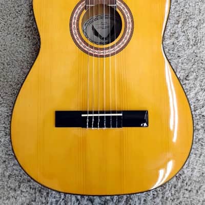 Dean Model # PC PK Classical Pack w/Gig Bag, Foot Stool & Tuner image 1